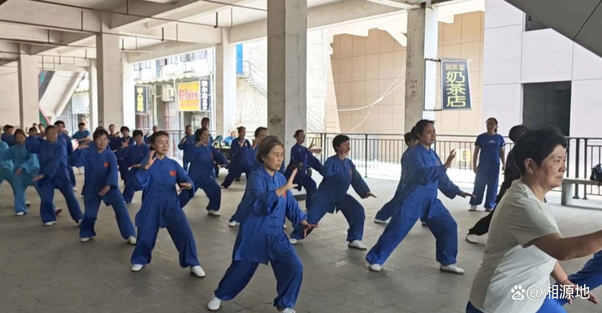 Tai Chi Qigong (Tai Chi Qigong Baduanjin Video)